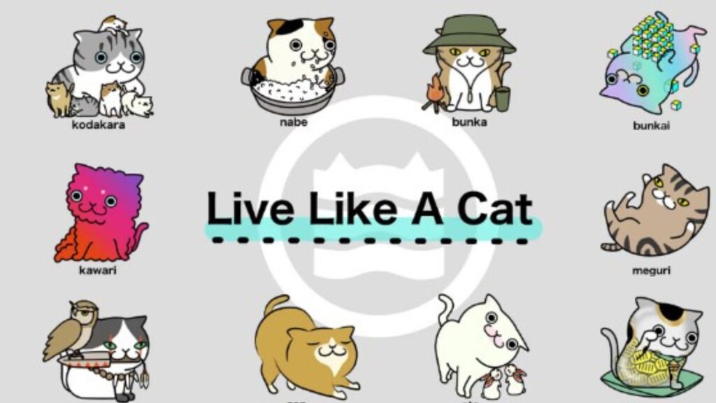 Live Like A Cat（リブライクアキャット）NFT